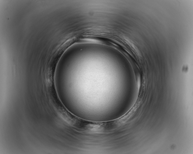 X0000099450170200805091513