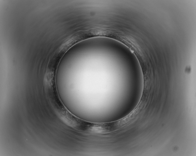 X0000099450171200805091513