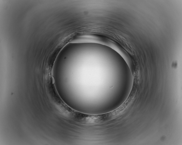 X0000099450172200805091513