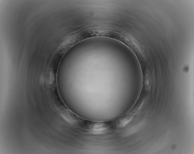 X0000099450173200805091513
