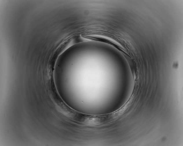 X0000099450174200805091513