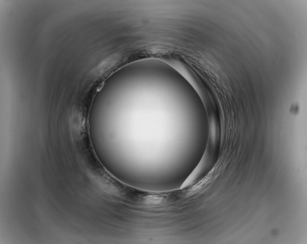 X0000099450176200805091513