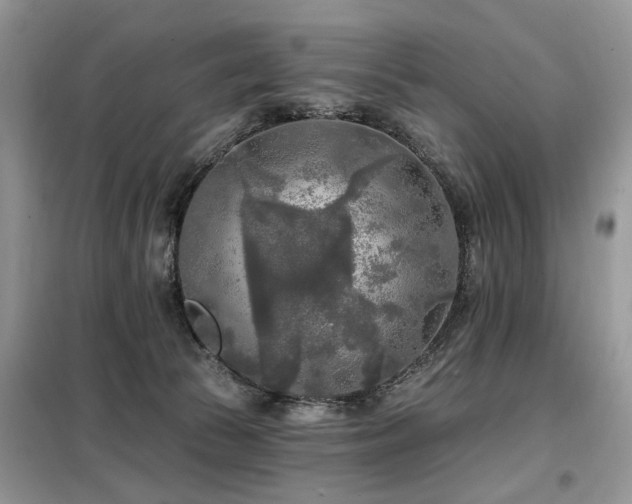X0000099450177200805091513