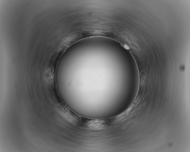 X0000099450179200805091513