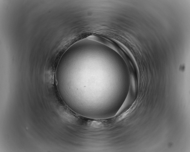 X0000099450180200805091513
