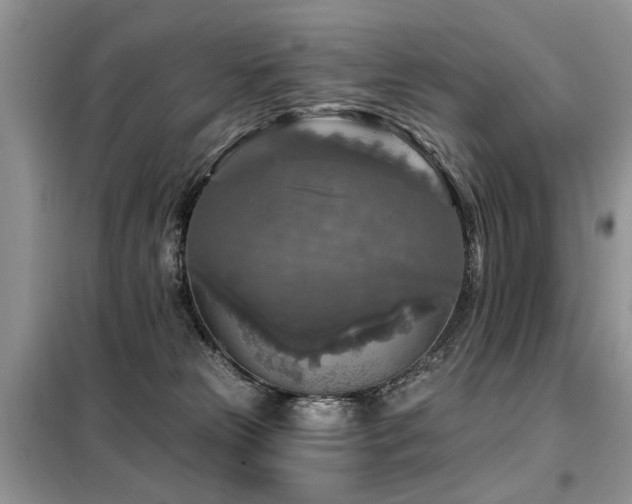X0000099450181200805091513