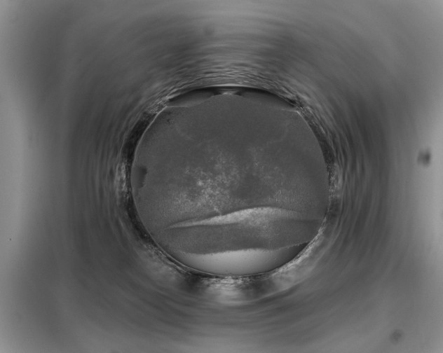X0000099450182200805091513