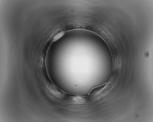 X0000099450183200805091513