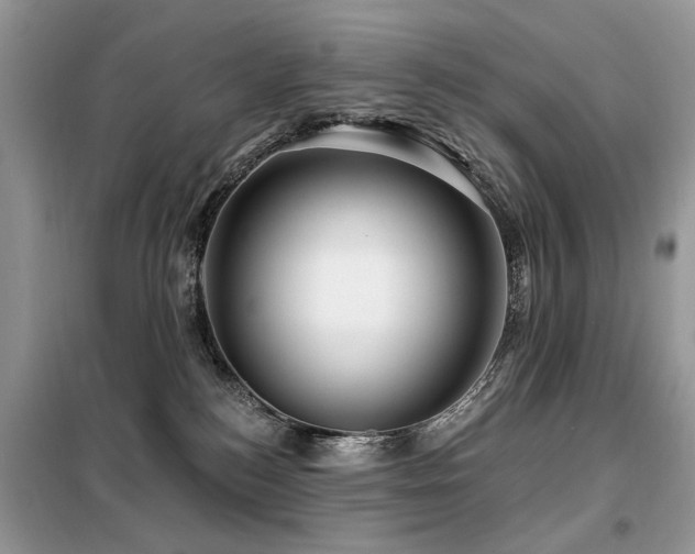 X0000099450184200805091513