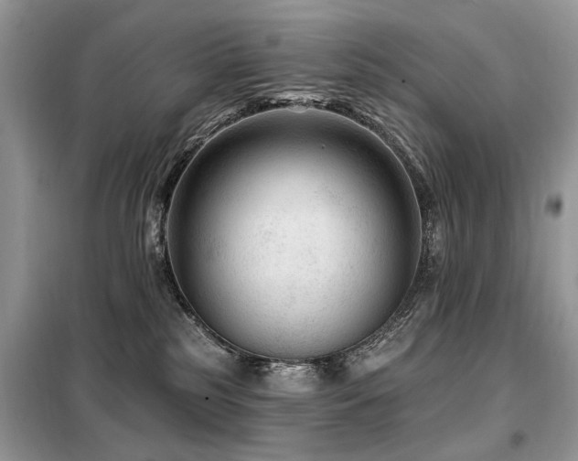 X0000099450185200805091513