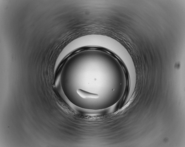 X0000099450186200805091513