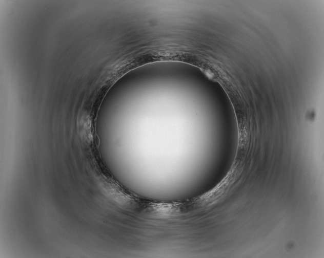 X0000099450187200805091513
