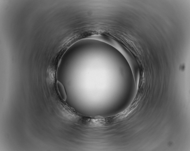 X0000099450188200805091513
