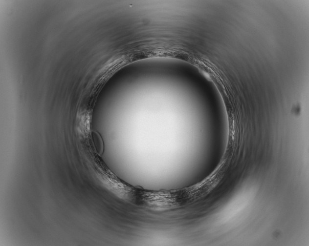 X0000099450191200805091513