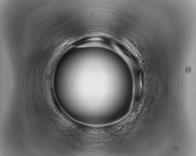 X0000099450193200805091513