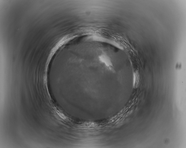 X0000099450195200805091513