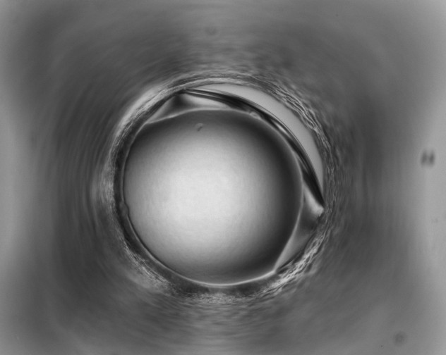 X0000099450197200805091513