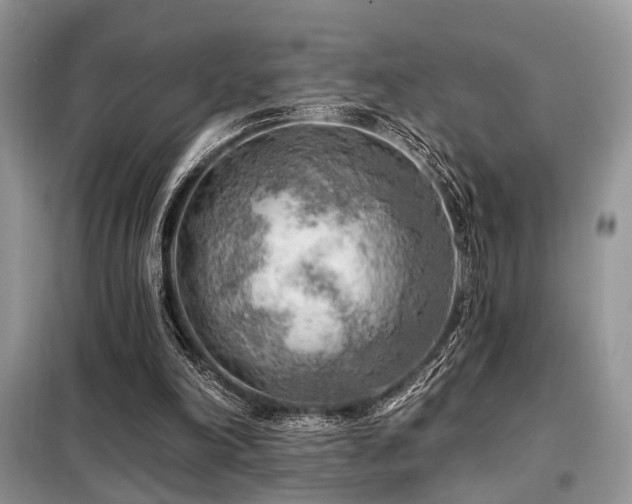 X0000099450198200805091513