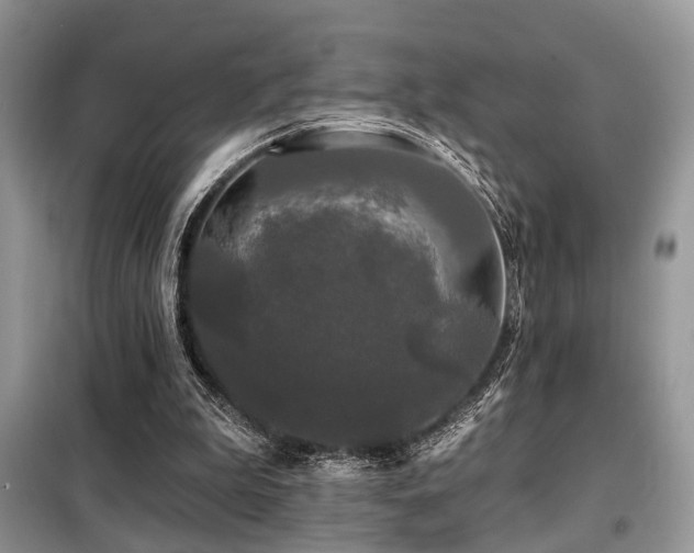 X0000099450199200805091513