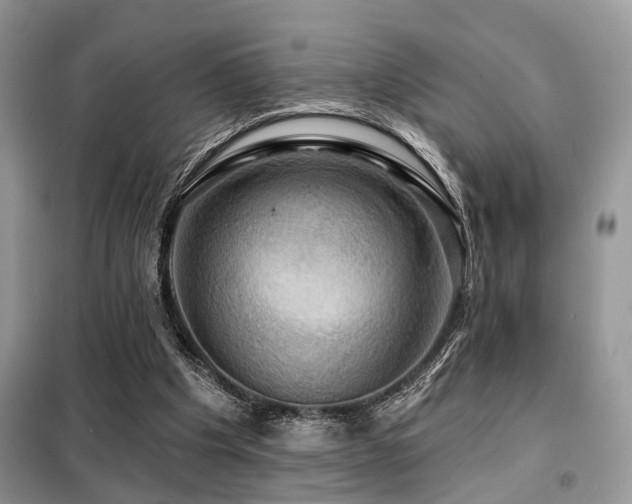 X0000099450201200805091513