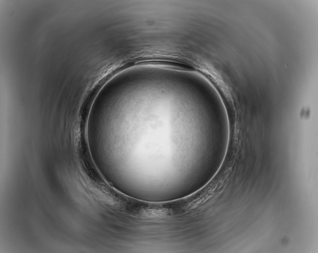 X0000099450202200805091513