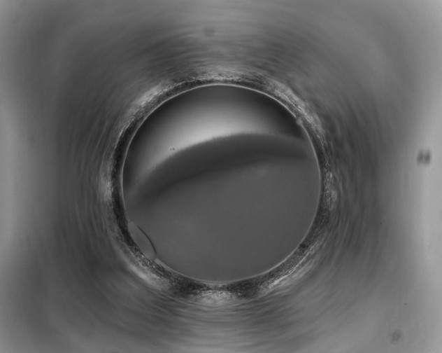 X0000099450203200805091513