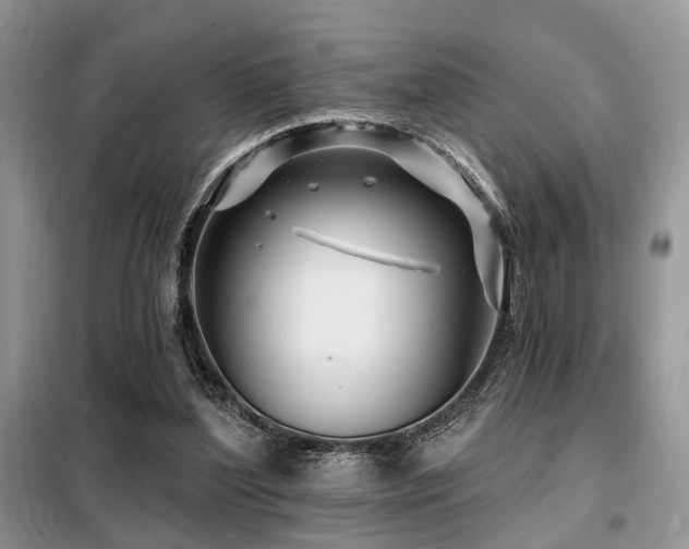 X0000099450204200805091513