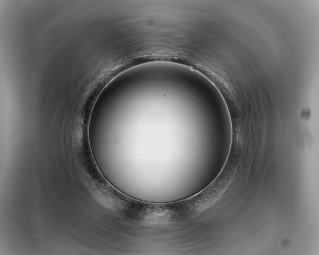 X0000099450206200805091513