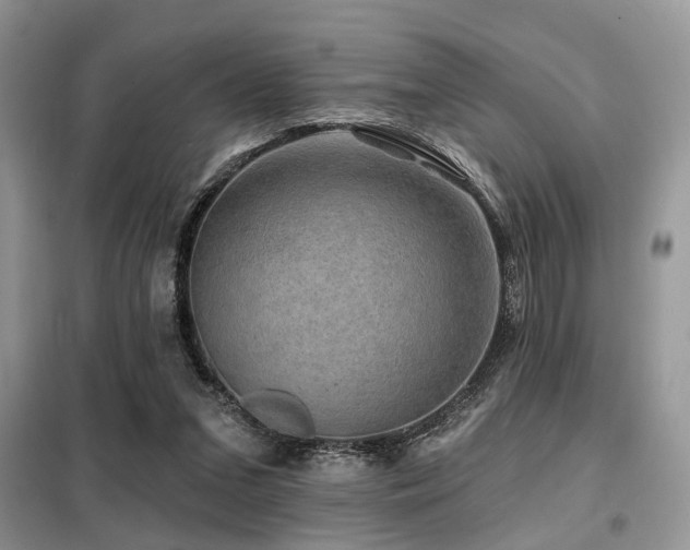 X0000099450207200805091513