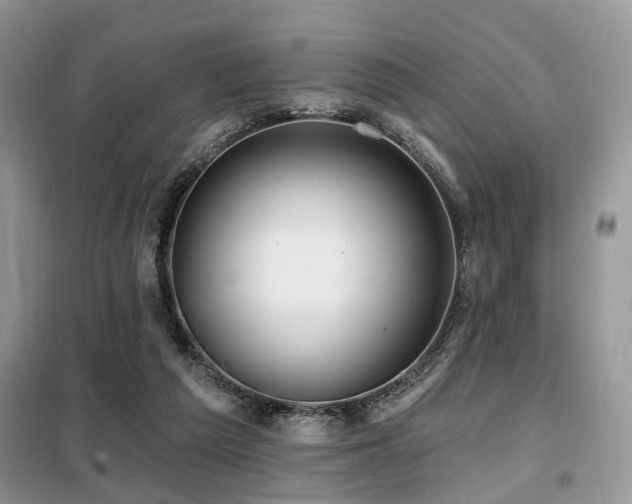 X0000099450209200805091513