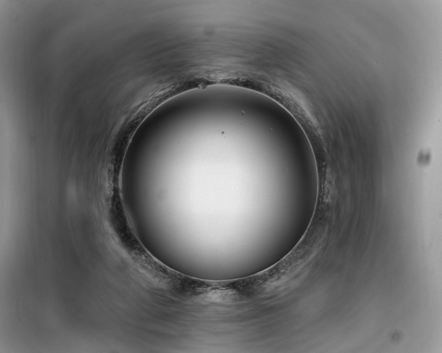 X0000099450210200805091513