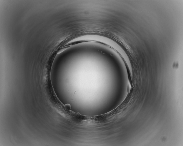 X0000099450211200805091512