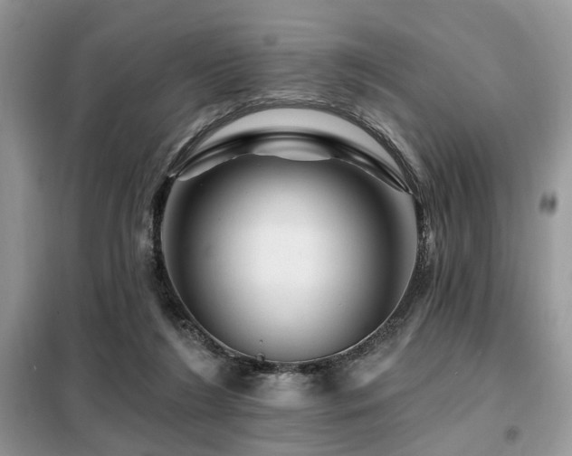 X0000099450212200805091512
