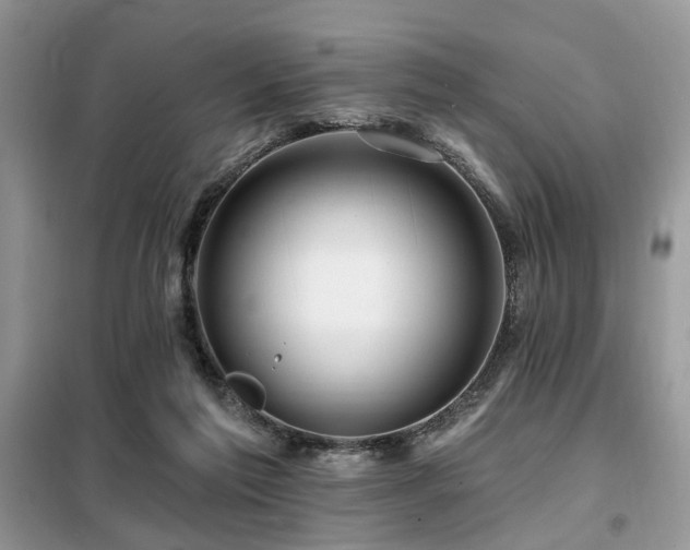 X0000099450213200805091512