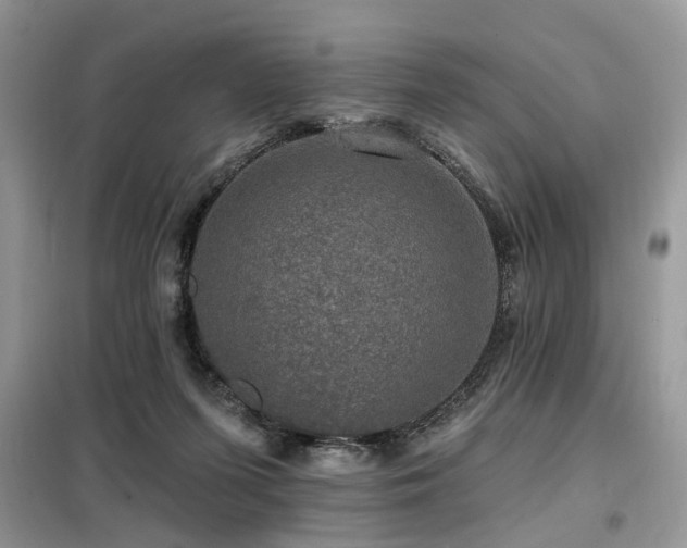 X0000099450215200805091512