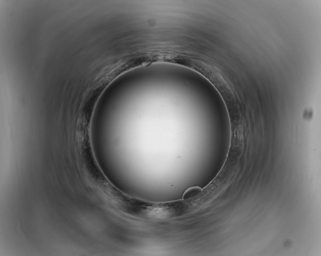 X0000099450218200805091512