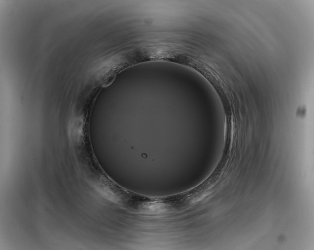 X0000099450219200805091512