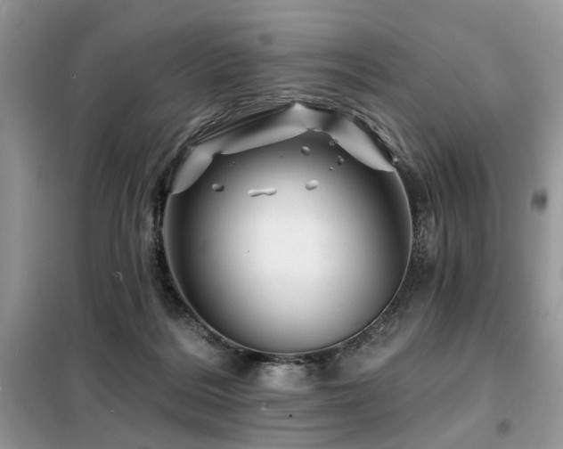X0000099450220200805091512