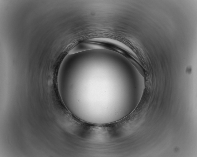 X0000099450221200805091512