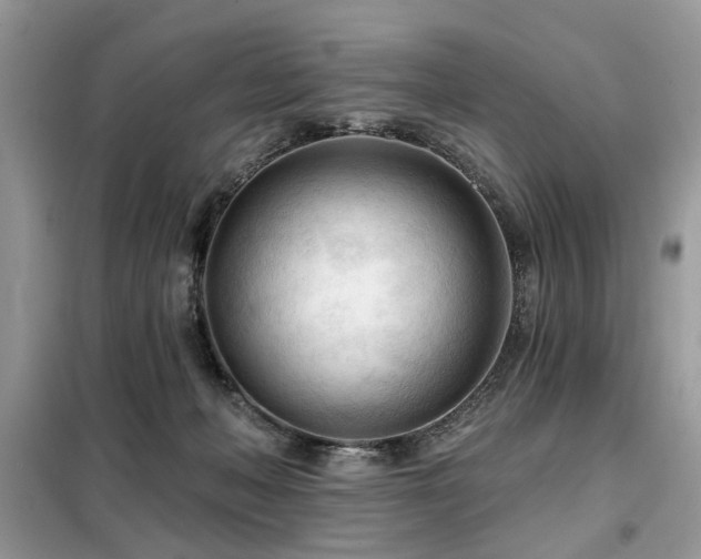X0000099450222200805091512