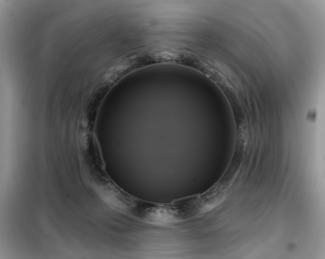 X0000099450223200805091512