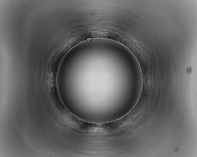 X0000099450224200805091512