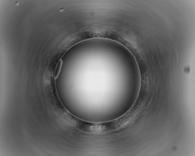 X0000099450225200805091512