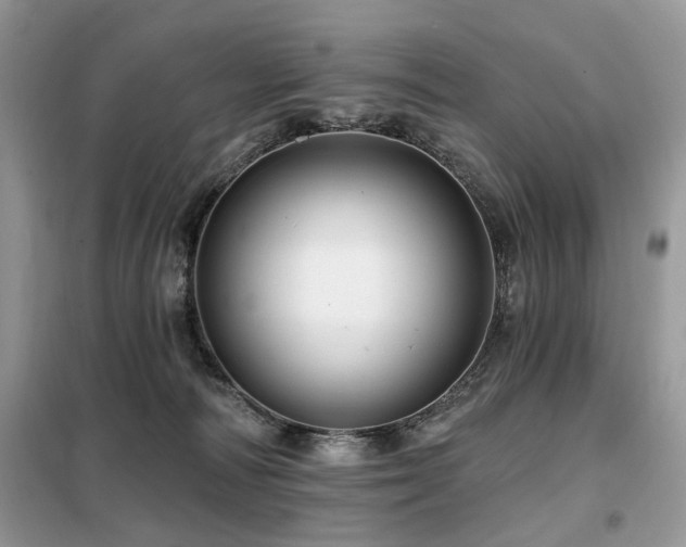 X0000099450226200805091512