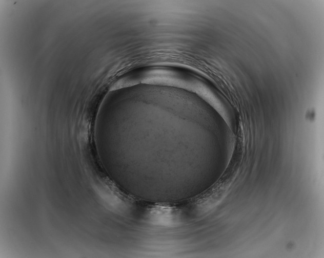 X0000099450227200805091512