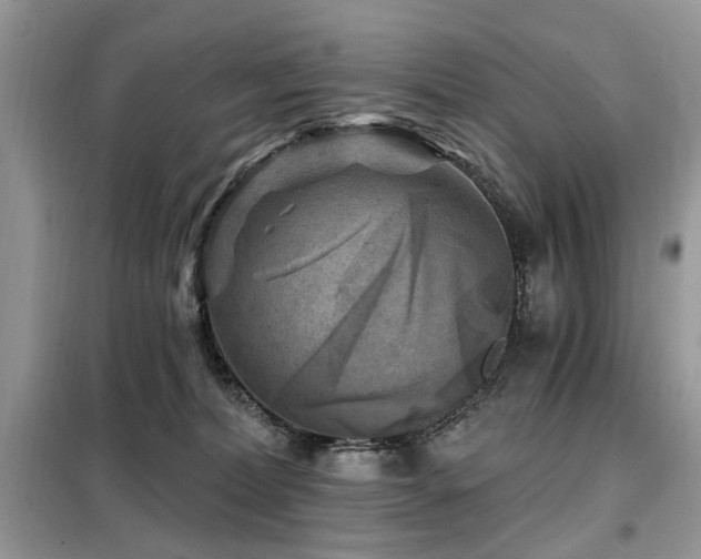 X0000099450228200805091512