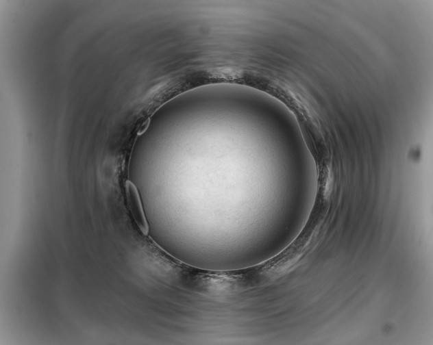 X0000099450229200805091512