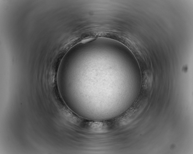 X0000099450230200805091512