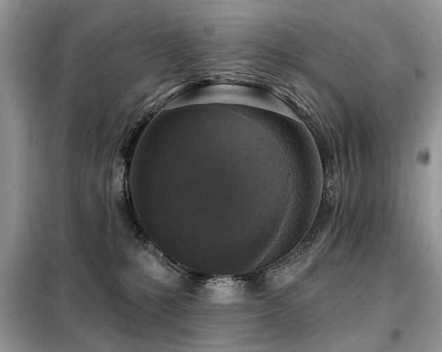 X0000099450231200805091512