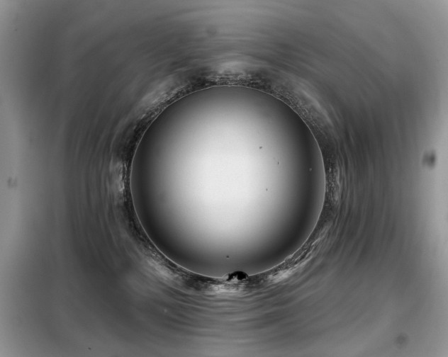 X0000099450232200805091512